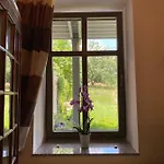 Dragonfly *