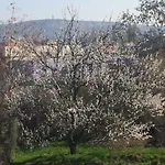 Apartman Dragonfly Brünn (Brno)