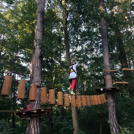 Dragonfly Brünn